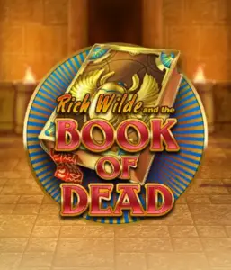 Enter the thrilling world of Book of Dead by Play'n GO, presenting vivid graphics of Rich Wilde's journey through ancient Egyptian tombs and artifacts. Discover lost riches with exciting mechanics like free spins, expanding symbols, and a gamble option. Ideal for those seeking adventure with a desire for unearthing secrets.